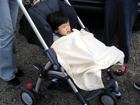  Lena in Buggy 