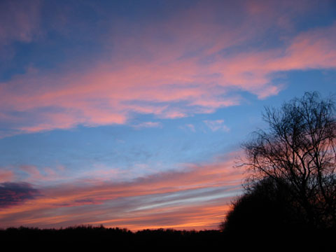  Sunset over Brookwood