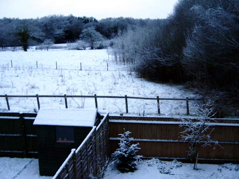  Snow