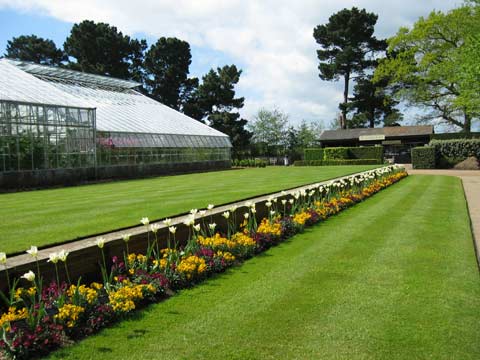  Wisley