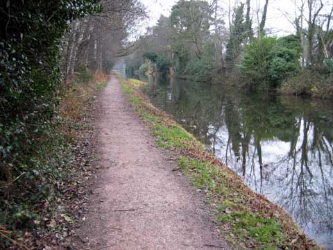  New Year Walk