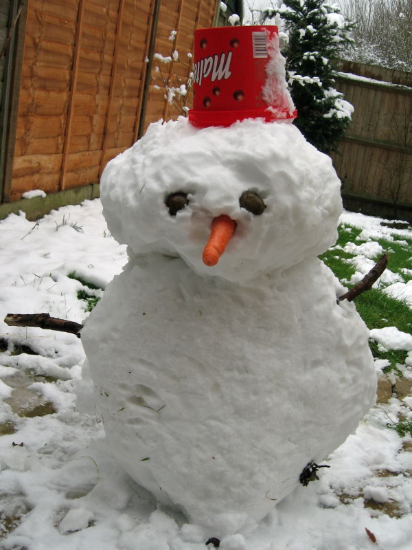  Snowman