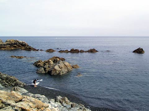  Cornwall 