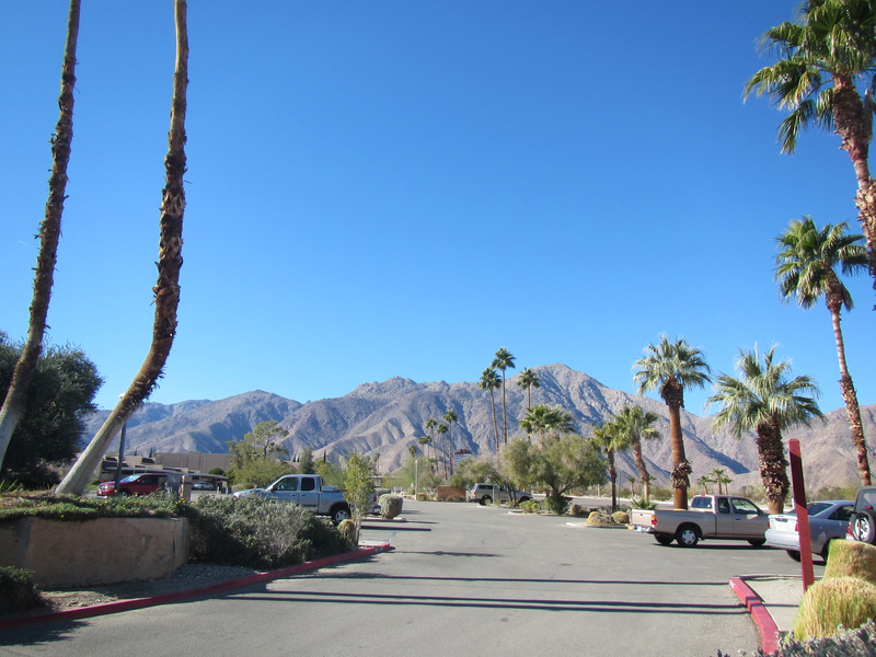   Borrego Springs