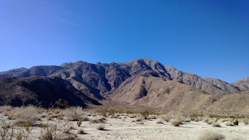   Desert