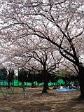  4 Apr