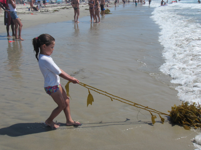  LucyKelp