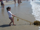  LucyKelp