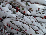  18 Dec