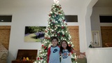   Xmas Tree