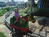  LucyHorse