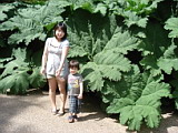 July2008
