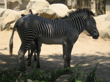 July2012