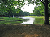  6 Jun