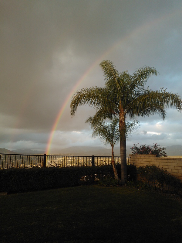   Rainbows