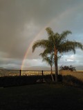   Rainbows