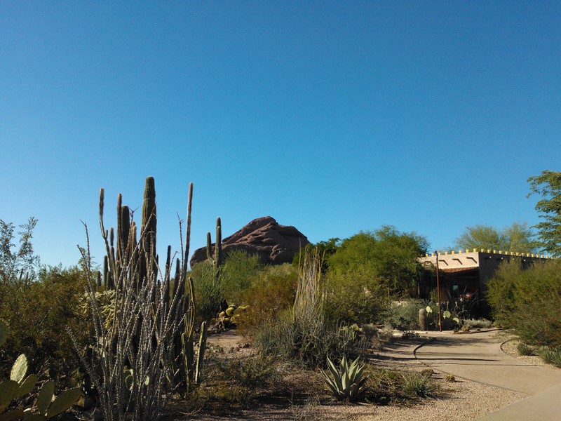  Botanical Garden