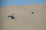  Dune buggies