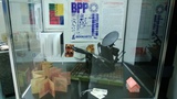  Printing