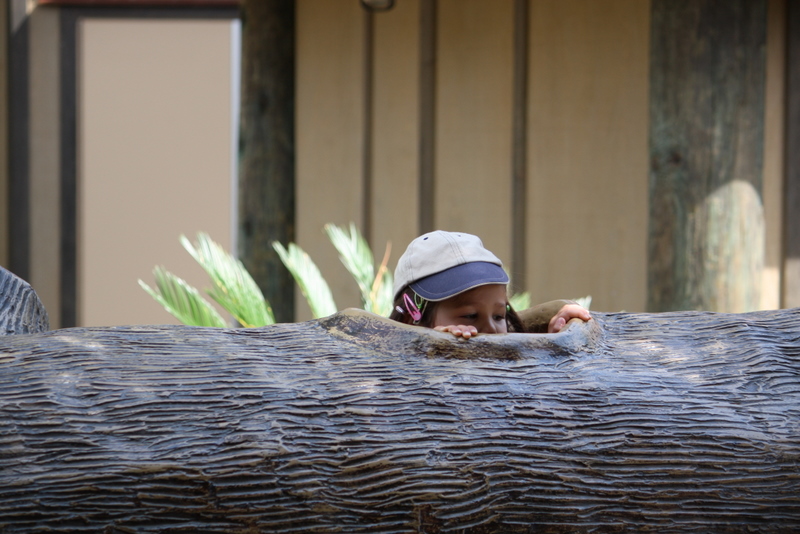 Log