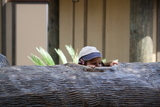  Log