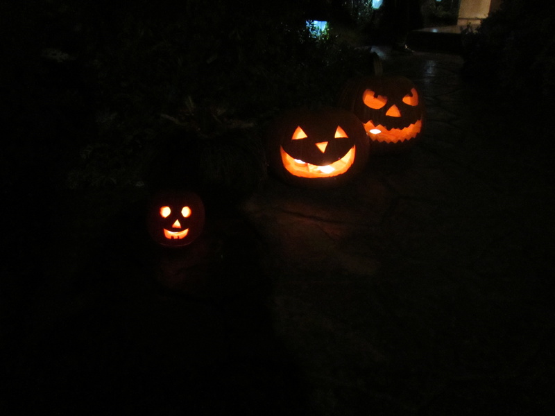  31 Oct