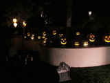  Pumpkins