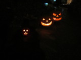  31 Oct