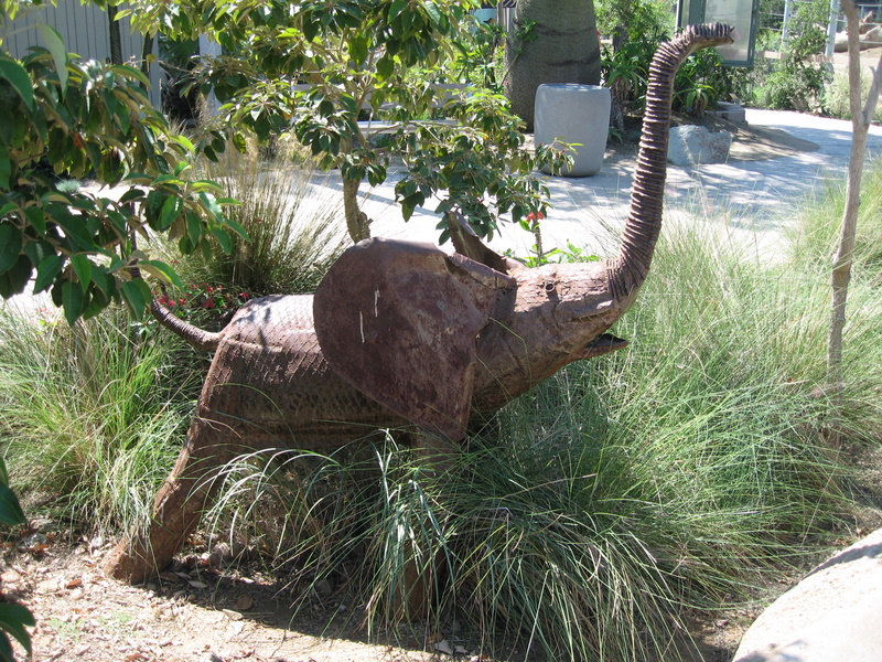  San Diego Zoo