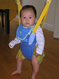  Three Months