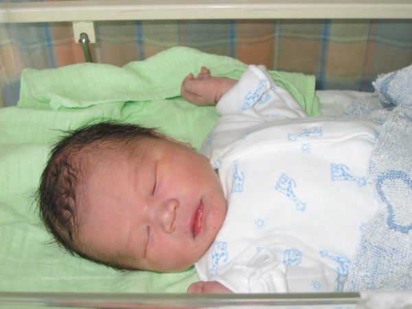  Hospital cot