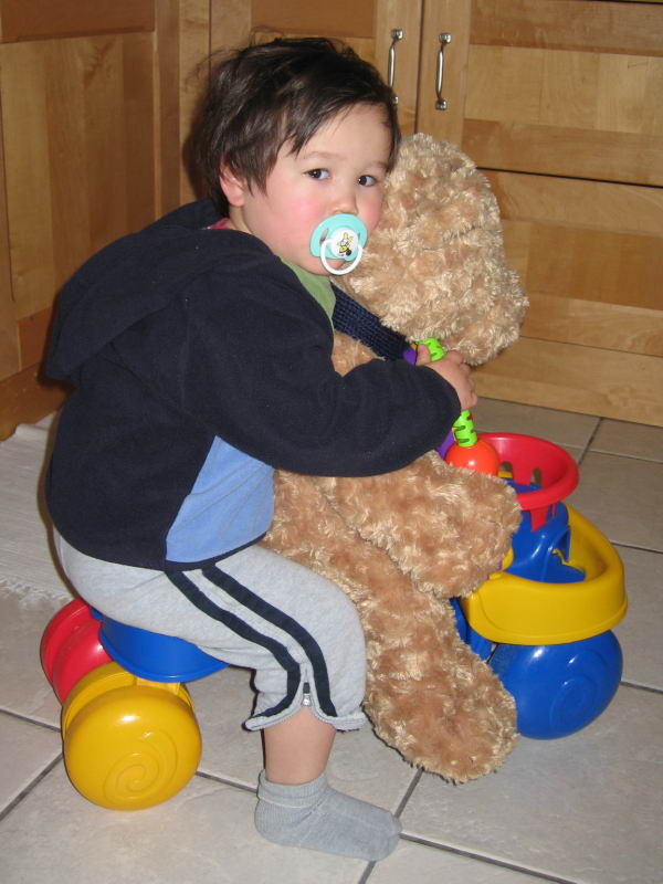  Bear's Ride