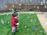  Bubbles