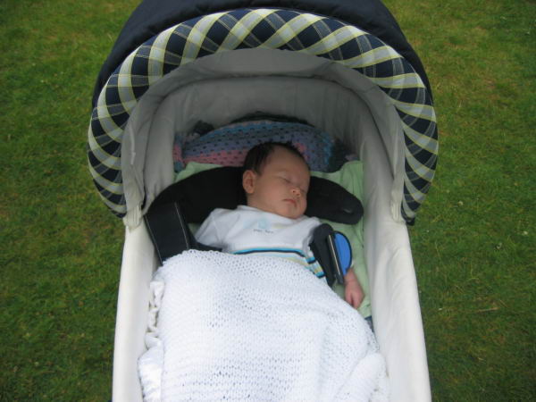  Wisley 2