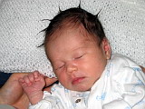  Punk Baby