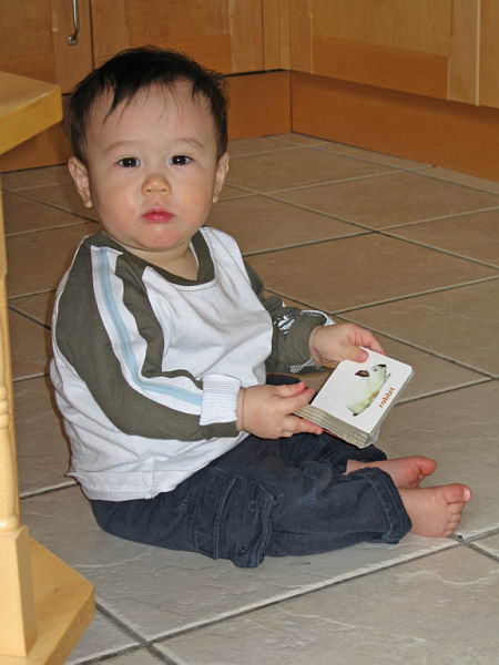  Reading