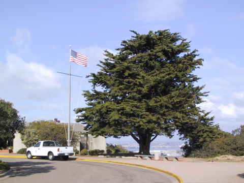 Point Loma
