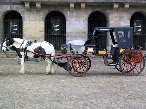  Horse & trap