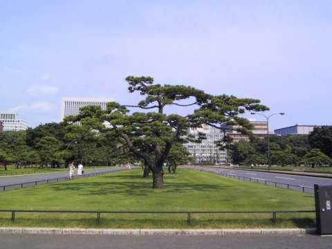  Outer Gardens 