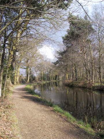  Basingstoke Canal III