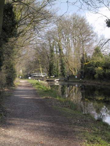  Basingstoke Canal II 