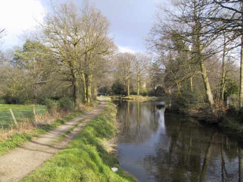  Basingstoke Canal IV