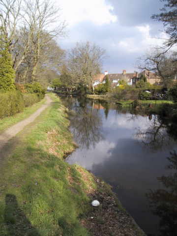  Basingstoke Canal V