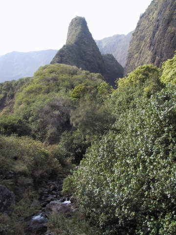 Iao Needle