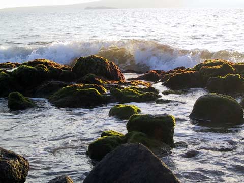  Waves 