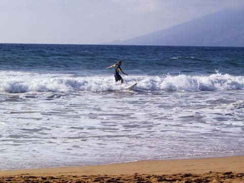  Surfer 