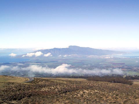  Maui 